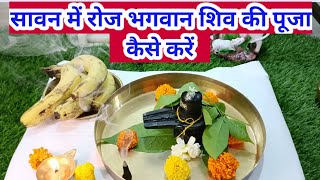 सावन में भगवान शिव की पूजा कैसे करेंsavan mein Bhagwan Shiv ki Puja kaise kare [upl. by Llenyr]