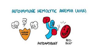 Autoimmune Hemolytic Anemia [upl. by Havard]