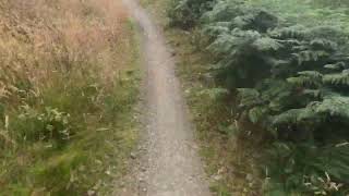 Llandegla freeride MTB jumps and drop offs [upl. by Cindra]