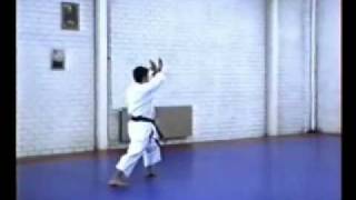 Heian kata Oyo [upl. by Leirda]