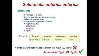 Salmonella [upl. by Eixirt]