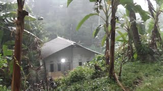 Heavy rain on remote village in Indonesia 🌩 Rain Video ☔ Thunder Lightning [upl. by Lyon]