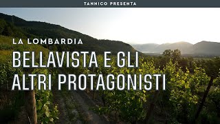 Bellavista e gli altri protagonisti della Franciacorta  Tannico [upl. by Neelra]