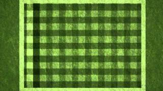 How To Lawn Stripe by Simplicity The Checkerboard [upl. by Fidellas]