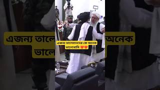 প্রিয় তালেবান عزيزي طالبان the taliban [upl. by Artek]