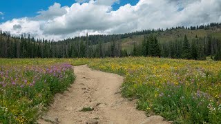 Rabbit Ears Trail Aug 2024 [upl. by Iggep]