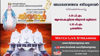 St Marys Church Parel Changanacherry Thirunal Holy Qurbana and Procession Live Streaming [upl. by Kristan]