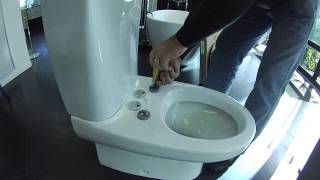 Taking off and adjusting a cygnet toilet seat [upl. by Mutz]