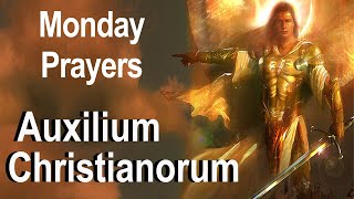 Auxilium Christianorum  Monday Deliverance Prayers for Use By the Laity  Fr Chad Ripperger Video [upl. by Nired]