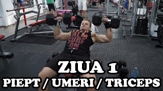 Piept  Umeri  Triceps  Ziua 1  Program incepatori [upl. by Justin]