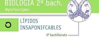 LÍPIDOS INSAPONIFICABLES [upl. by Skipp]