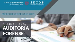 Curso Auditoría Forense – SECOP CCPGJ 2021 [upl. by Pulchia]