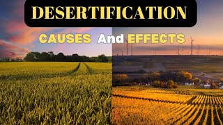 What is Desertification  Desertification Causes and Effects  Desertification [upl. by Meehyr]