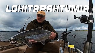 ENSIMMÄISET KAUDEN LOHITAPAHTUMAT  JÄRVILOHEN VETOUISTELUA SAIMAALLA 2023  Finnish Fisherman [upl. by Notlef384]