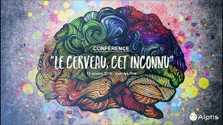 A la découverte du cerveau cet inconnu [upl. by Almira]