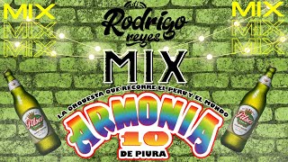 MIX ARMONIA 10  La Duda Solo Escribeme Serpiente  DJ RODRIGO REYES [upl. by Ahsiea165]