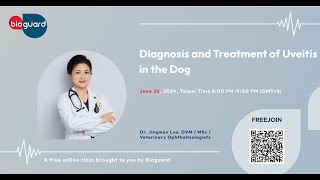 Diagnosis and Treatment of Uveitis in the Dog [upl. by Susette]