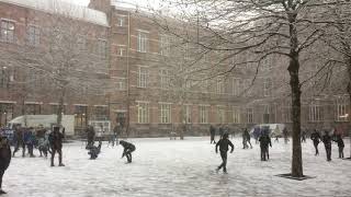 De eerste sneeuw [upl. by Athalia]