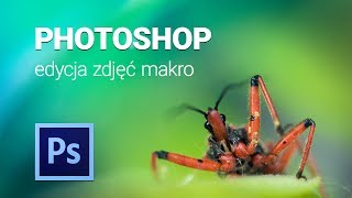 Photoshop edycja zdjęć makro [upl. by Trescott384]