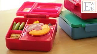 3 Lunchbox Ideas featuring Leftovers [upl. by Salangia]