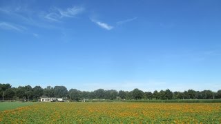 Weerbericht donderdagochtend Zonnig en warm [upl. by Arej628]