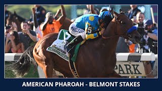 American Pharoah wins the Triple Crown  2015 Belmont Stakes G1 [upl. by Johan826]