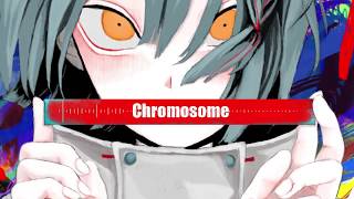 大沼パセリ 1st Album 「Chromosome」XFD [upl. by Ayojal]