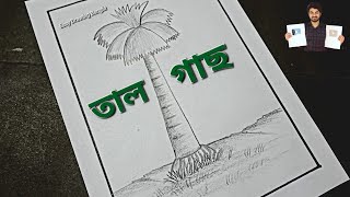 Tal Gas Drawing  Palm Tree Drawing  Easy Drawing Bangla Tutorial [upl. by Gerhardine414]