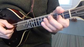 Cooleys Reel with Tabs  Mandolin Lesson [upl. by Chucho]