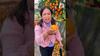 ¡Así Se Cosechan Naranjas en Asia Directamente en Canales de Agua🍊🌊 shorts [upl. by Wack204]