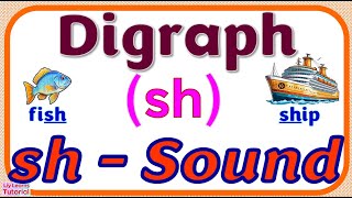 DIGRAPH sh  READING Words amp Sentences with sh Sound Spelt as SH  Liy Learns Tutorial [upl. by Akirdnuhs331]