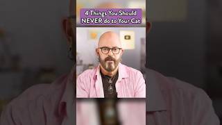 NEVER do these things to your cats cats jacksongalaxy [upl. by Chee67]