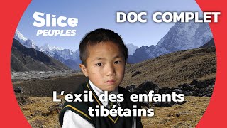 Les Orphelins du Tibet  SLICE PEUPLES  DOC COMPLET [upl. by Weinert796]