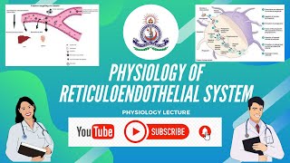 PHYSIOLOGY OF RETICULOENDOTHELIAL SYSTEM [upl. by Ahtela]