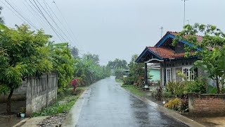 Rain falls to wet a beautiful village in Indonesia  Morning Walk in the Romantic Rain  ASMR [upl. by Tfat613]