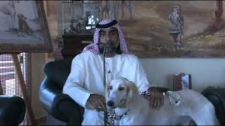 The Arabian Saluki Center [upl. by Linzy]