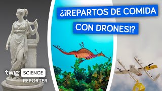 ¿Son los drones el futuro de los repartos  Twig Science Reporter en Español [upl. by Hollyanne]