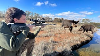 Hunting Wild Hogs MOST DESTRUCTIVE PEST in AMERICA [upl. by Monahon]