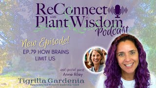 Ep79 How Brains Limit Us with Anne Riley  ReConnect with Plant Wisdom podcast [upl. by Annia]