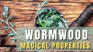 Wormwood loose herb  magical properties of wormwood [upl. by Bowerman]