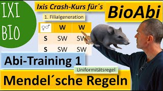 Mendelsche Regeln anwenden A  Kreuzungen auswerten zur Abiturvorbereitung – Unabhängigkeitsregel [upl. by Attenor]