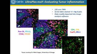 Multiplex Immunofluorescence Profiling of Tumor Biopsies Using UltraPlex mxIF Technology [upl. by Aisats936]