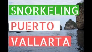 THE BEST SNORKELING IN PUERTO VALLARTA  Life in Puerto Vallarta Vlog [upl. by Alexio]