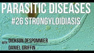 Parasitic Diseases Lectures 26 Strongyloidiasis [upl. by Aicilegna768]