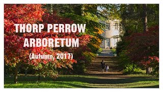 Thorp Perrow Arboretum Bedale North Yorkshire Autumn 2017 [upl. by Tarfe]