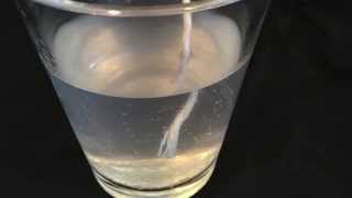 Growing Borax Crystals  Science Fair Experiment [upl. by Eineeuq]