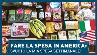 LA MIA SPESA DA ITALIANA IN AMERICA Dove e cosa compro per la settimana [upl. by Thayne]