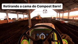 CAMA NOVA PARA AS VACAS E ADUBO ORGÂNICO PARA AS LAVOURAS🐄🌾 [upl. by Fahy]