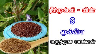 liv 52 syrup LIV 52 syrup uses in tamil LIV 52 syrup benefits LIV 52 syrup side effects LIV 52 [upl. by Nemrak759]