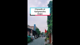 Citywalk at Yangmeizhu Xiejie [upl. by Sadiras788]